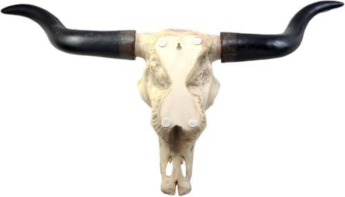 Ebros Gift Texas Longhorn Cow Skull Wall Plaque
