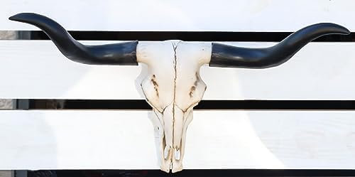 Ebros Gift Texas Longhorn Cow Skull Wall Plaque