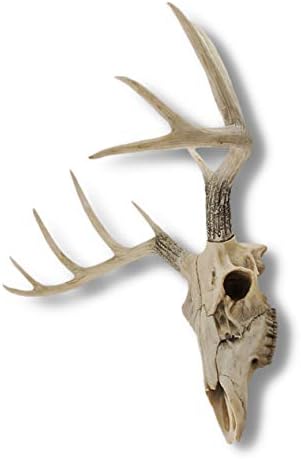 Things2Die4 Lifelike 10 Point Buck Deer Skull Replica