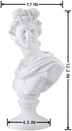 David Roman Apollo Bust Statue Home Decor