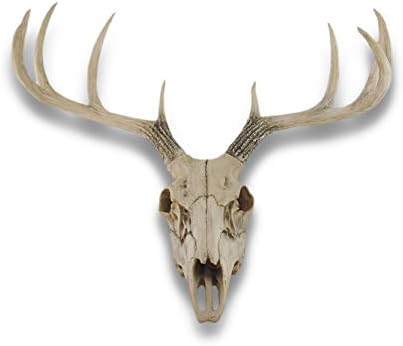 Things2Die4 Lifelike 10 Point Buck Deer Skull Replica