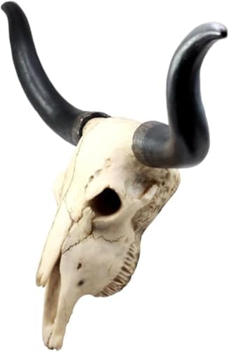 Ebros Gift Texas Longhorn Cow Skull Wall Plaque