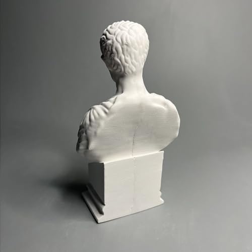 Julius Caesar Roman Bust Statue - White Plaster Decor