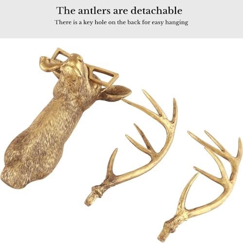 DAUERHAFT Deer Head Wall Sculpture with Glasses and Pipe