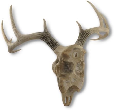 Things2Die4 Lifelike 10 Point Buck Deer Skull Replica