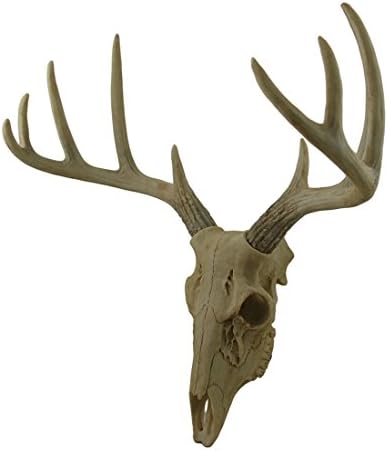 Zeckos Little Bucky 15-Inch Wall Faux Deer Skull