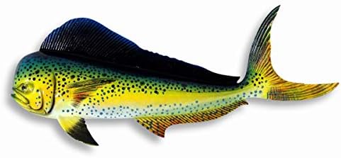 Handpainted Mahi Mahi Green Dolphin Wall Decor Plaque 12 Inch