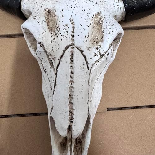 NEBAISEN 3D Animal Cow Skull Wall Sculpture