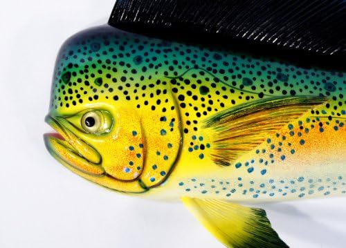 Handpainted Mahi Mahi Green Dolphin Wall Decor Plaque 12 Inch