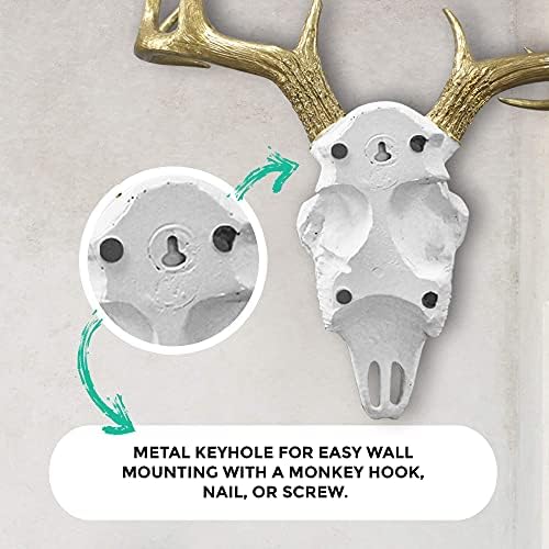 Wallcharmers Mini White Gold Antler Faux Deer Skull Wall Decor