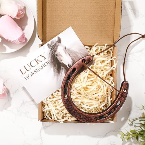 Viorawhite Lucky Horseshoe Wall Decoration Gift Set