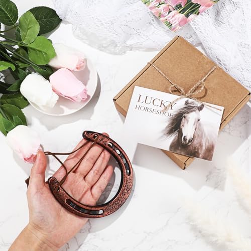 Viorawhite Lucky Horseshoe Wall Decoration Gift Set