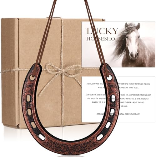 Viorawhite Lucky Horseshoe Wall Decoration Gift Set