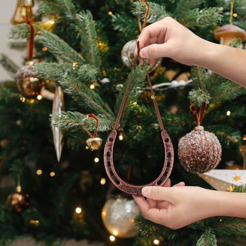 Viorawhite Lucky Horseshoe Wall Decoration Gift Set