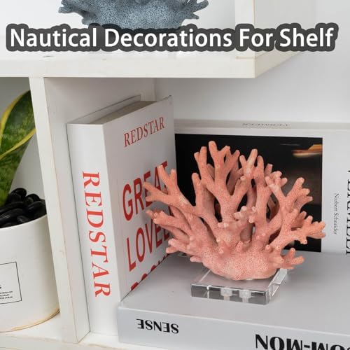 Pink Resin Coral Sculpture with Acrylic Base