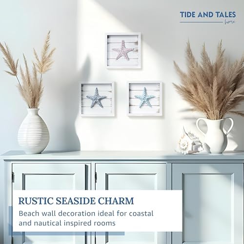 TideAndTales 3D Starfish Wall Art Set of 3